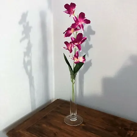 Appartment- Betulla * Apecchio